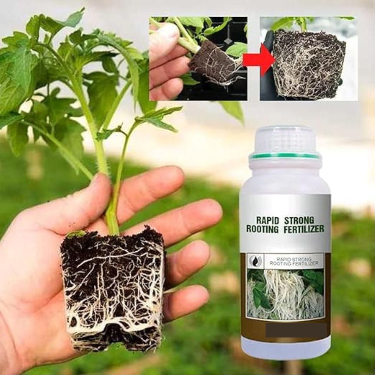 Rapid Strong Rooting Fertilizer 200 gm Pack of 2